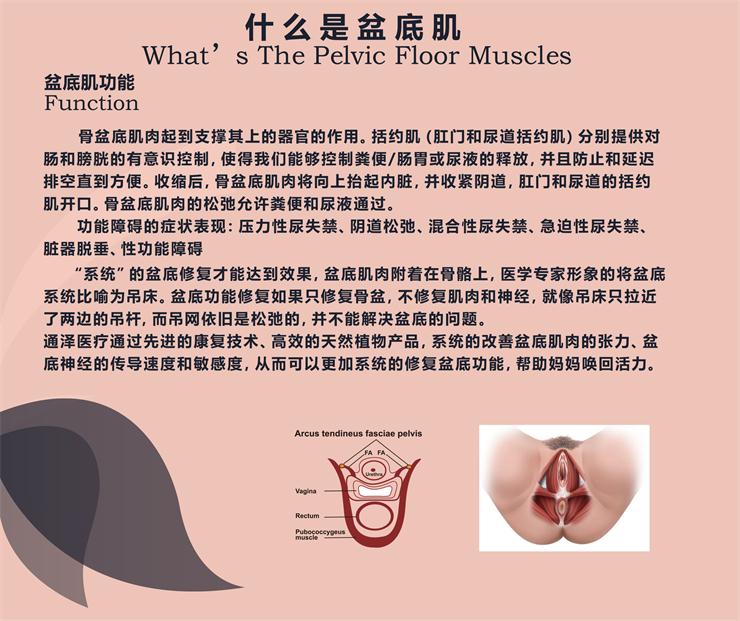 盆底肌修復(fù)儀器，能用于骨盆修復(fù)嗎？