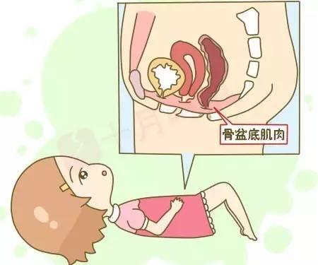 盆底康復(fù)治療有用嗎？為什么要做盆底肌修復(fù)？