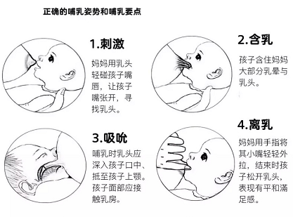 母乳檢測因人而異，但母乳分析儀產(chǎn)后修復(fù)中心必須具備
