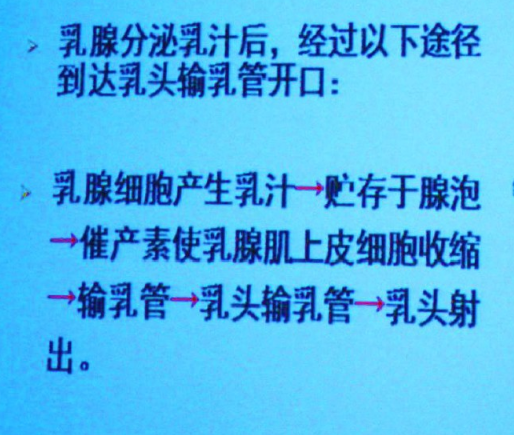影響泌乳的因素有哪些，母乳喂養(yǎng)得了解