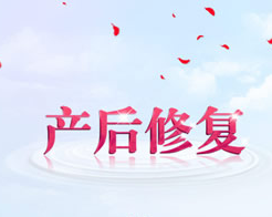 好消息！蘇菲特納懷孕，盆底肌康復(fù)治療怎么做呢？