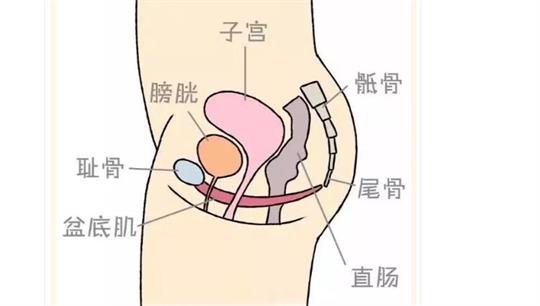 通澤便攜產(chǎn)后康復(fù)治療儀，促進(jìn)產(chǎn)后快速恢復(fù)