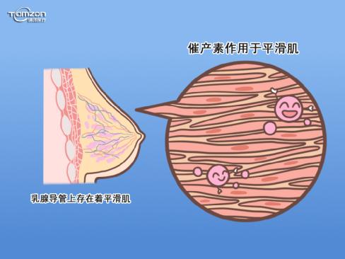  盆底康復(fù)儀器對(duì)剖宮產(chǎn)的寶媽發(fā)生哺乳和子宮復(fù)舊問(wèn)題有幫助