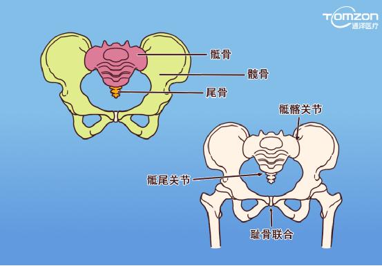 產(chǎn)后骨盆有哪些變化，用盆底康復(fù)治療儀可以治療嗎？